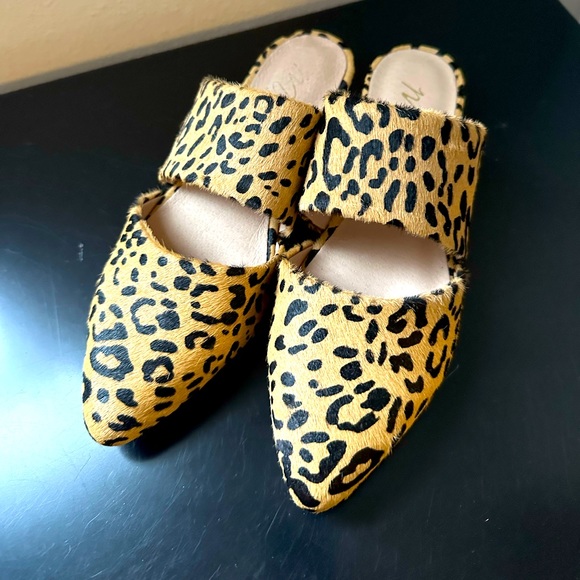 Matisse Shoes - New Matisse Berlin Leopard Mules/Flats S 6,5